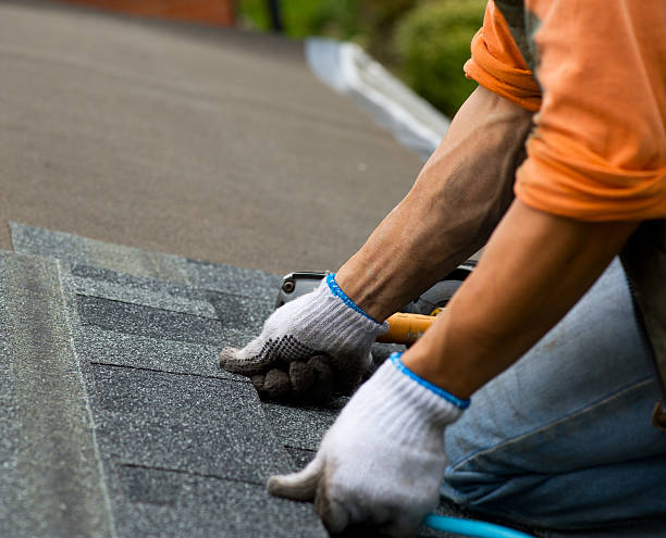 Best Roof Gutter Cleaning  in Sea Breeze, NC